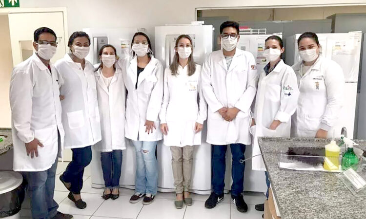 Pesquisadoras da UFGD confirmam potencial do gengibre no combate a bactérias multirresistentes