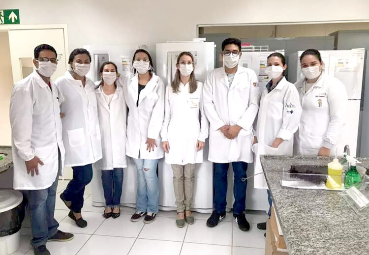 Pesquisadoras da UFGD confirmam potencial do gengibre no combate a bactérias multirresistentes