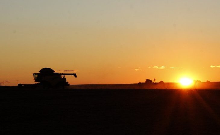 MS é o 1º Estado do Brasil em desenvolvimento agropecuário