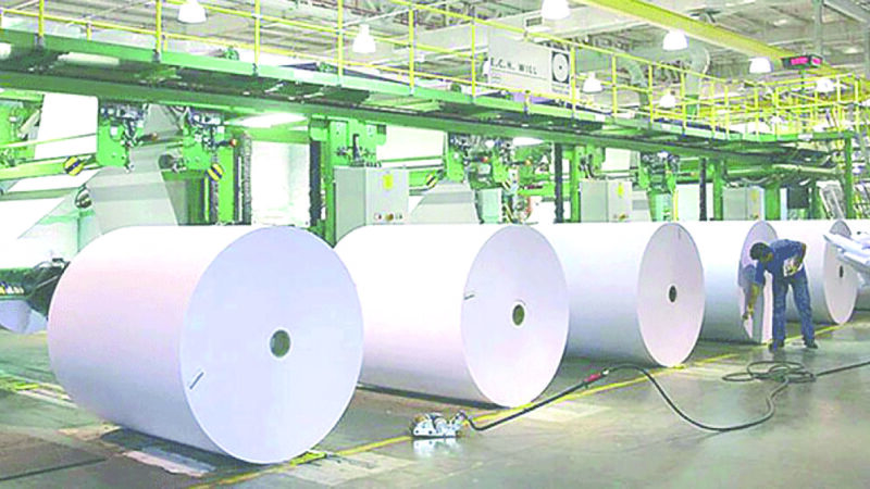 Grupo do Chile traz fábrica de celulose para Mato Grosso do Sul