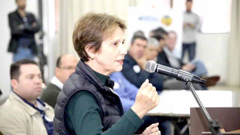 Tereza Cristina lidera corrida pelo Senado com ampla vantagem