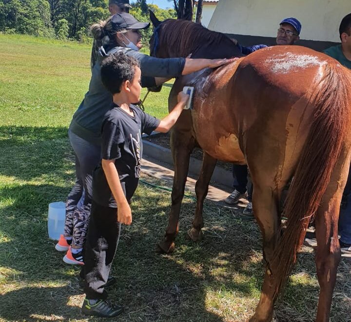 Ponta Porã comemora o Dia Nacional da Equoterapia