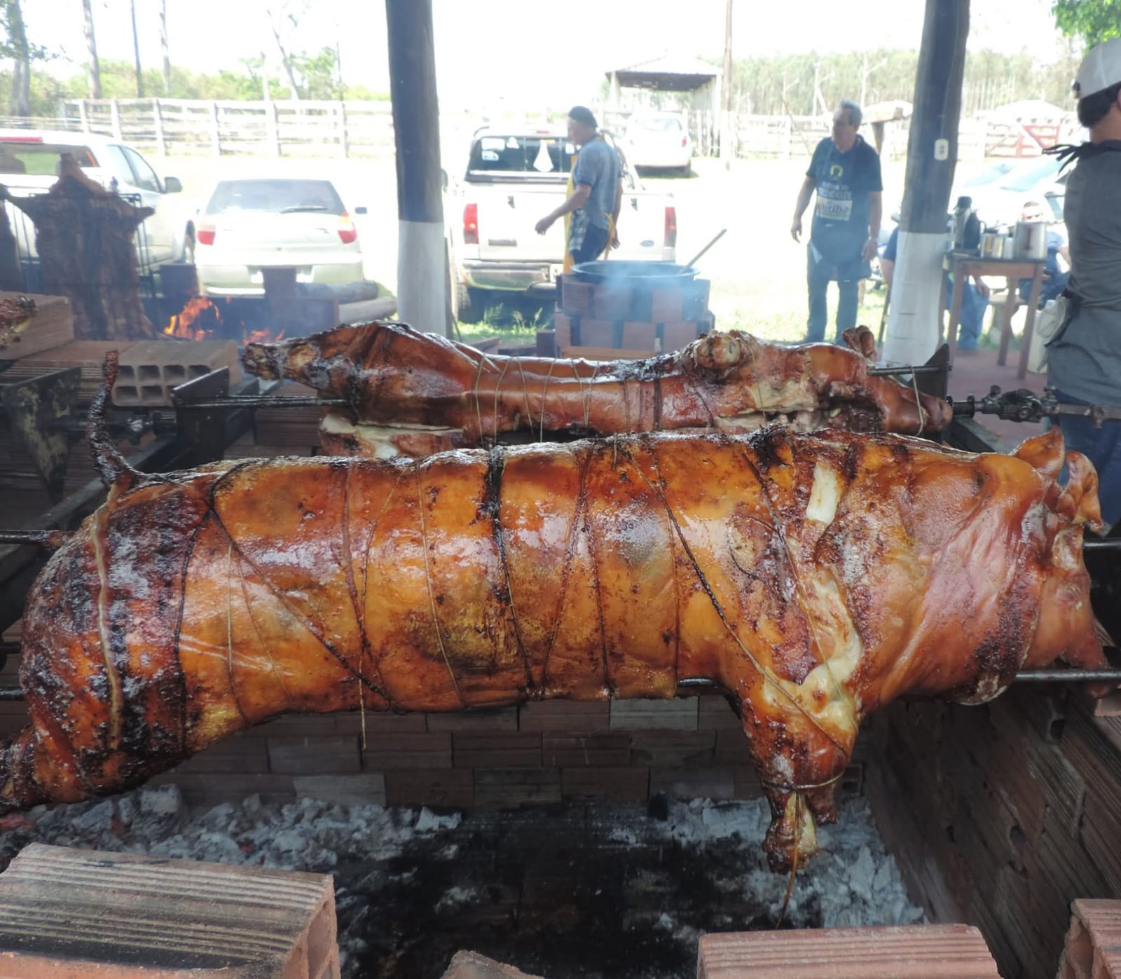 Domingo é dia de Porco no Rolete no CTG Querência da Saudade