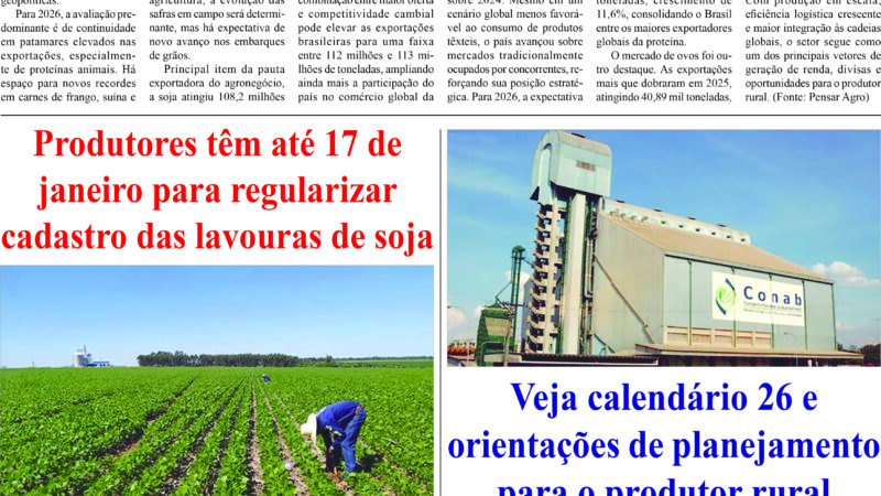 Edição 833 – Página 4a