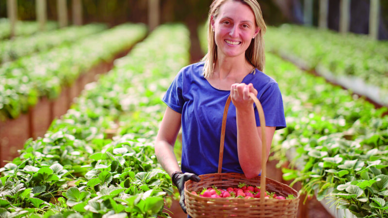 Cresol apresenta Relatório de Sustentabilidade com mais de 90 indicadores