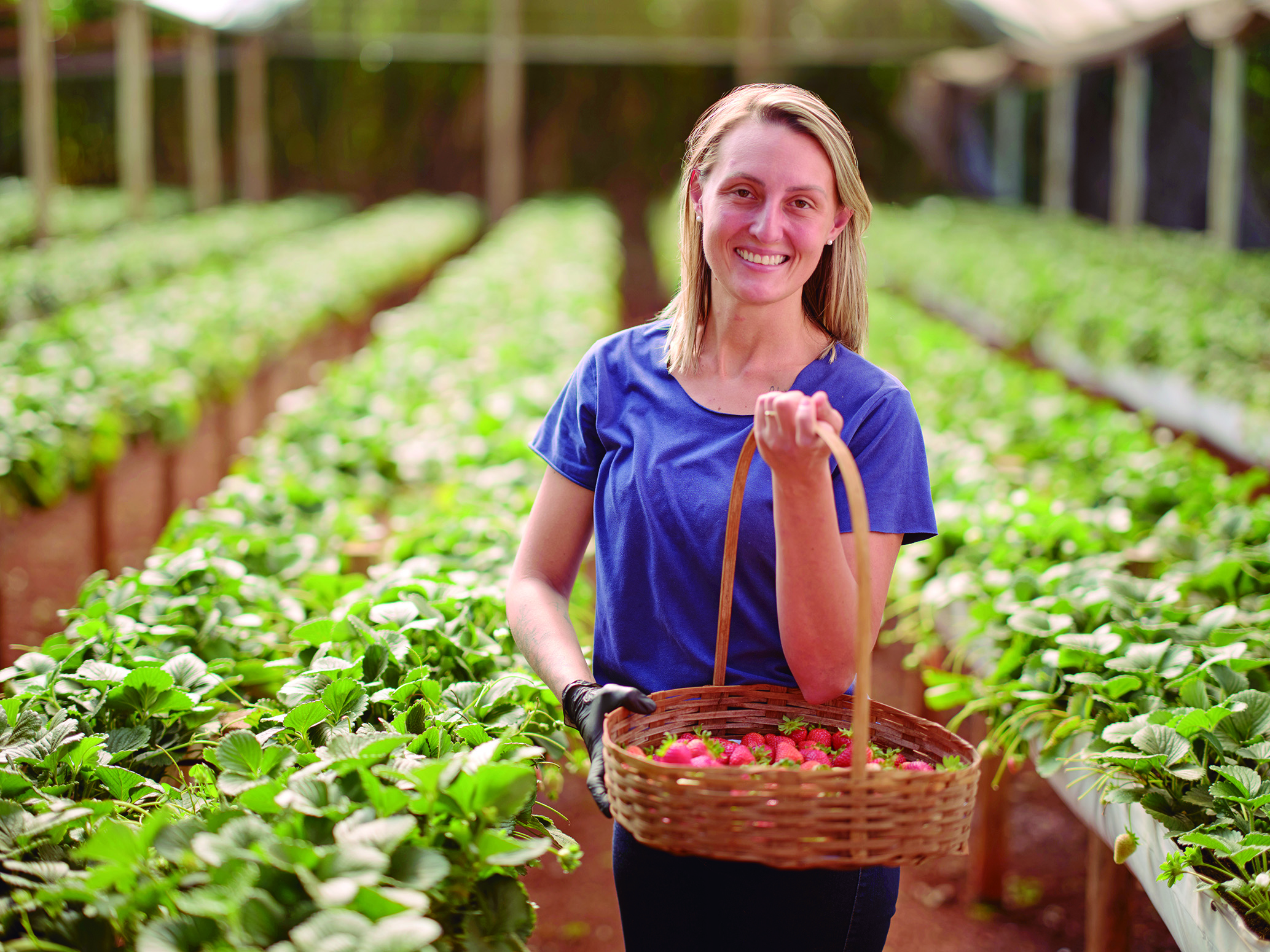 Cresol apresenta Relatório de Sustentabilidade com mais de 90 indicadores